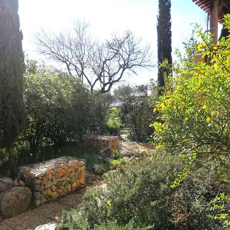 T2 36 M2, Rdc De Villa, Clim, Gd Jardin Clos, Animx Ok, Quartier Mt Faron Tres Calme, Wifi, Parking Toulon Exteriör bild