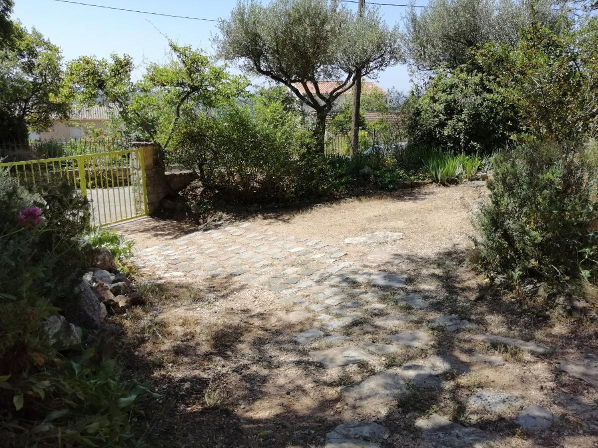 T2 36 M2, Rdc De Villa, Clim, Gd Jardin Clos, Animx Ok, Quartier Mt Faron Tres Calme, Wifi, Parking Toulon Exteriör bild