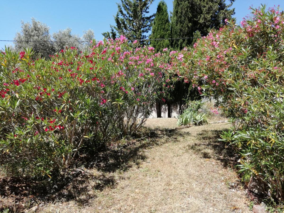 T2 36 M2, Rdc De Villa, Clim, Gd Jardin Clos, Animx Ok, Quartier Mt Faron Tres Calme, Wifi, Parking Toulon Exteriör bild