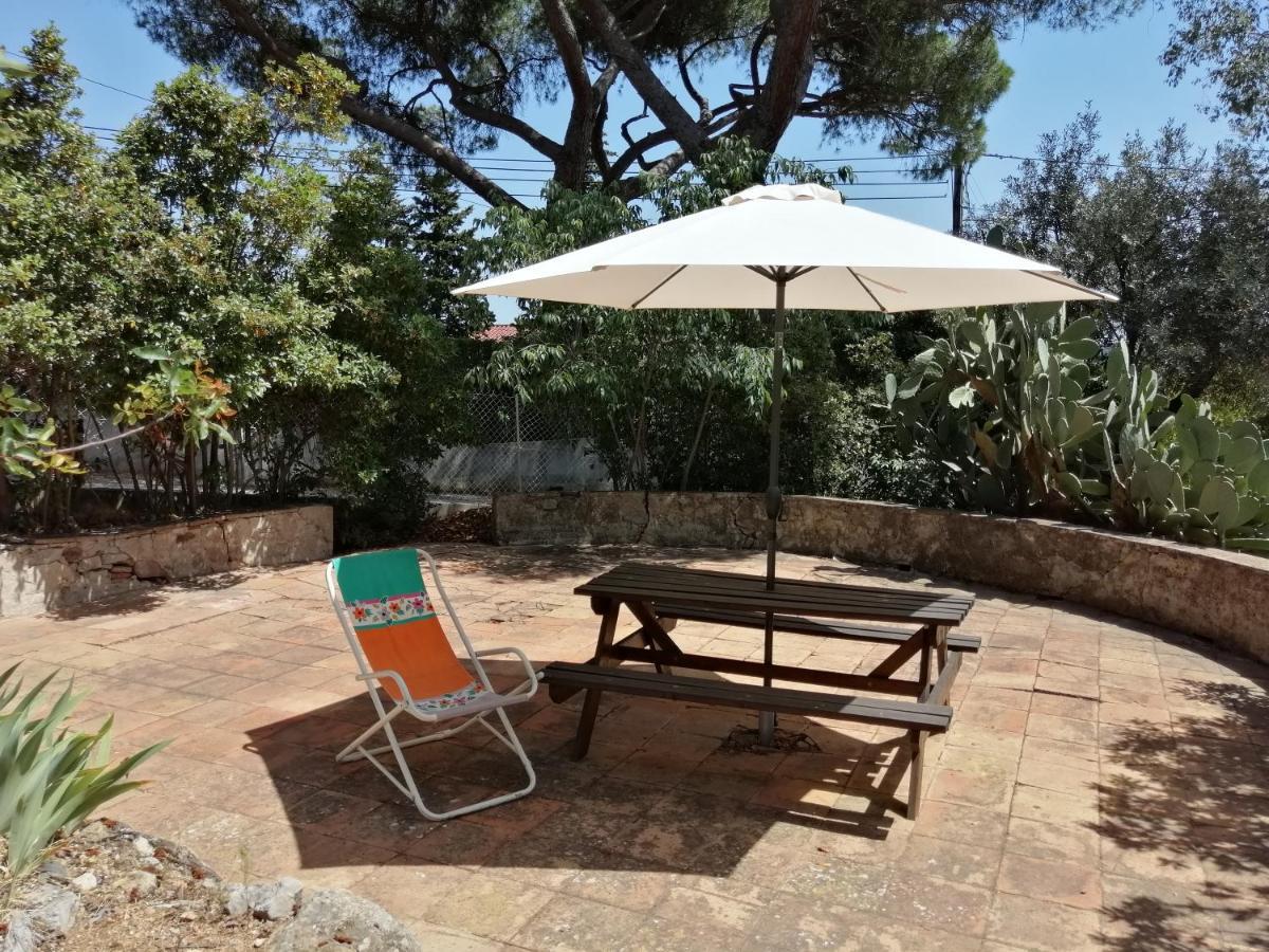 T2 36 M2, Rdc De Villa, Clim, Gd Jardin Clos, Animx Ok, Quartier Mt Faron Tres Calme, Wifi, Parking Toulon Exteriör bild