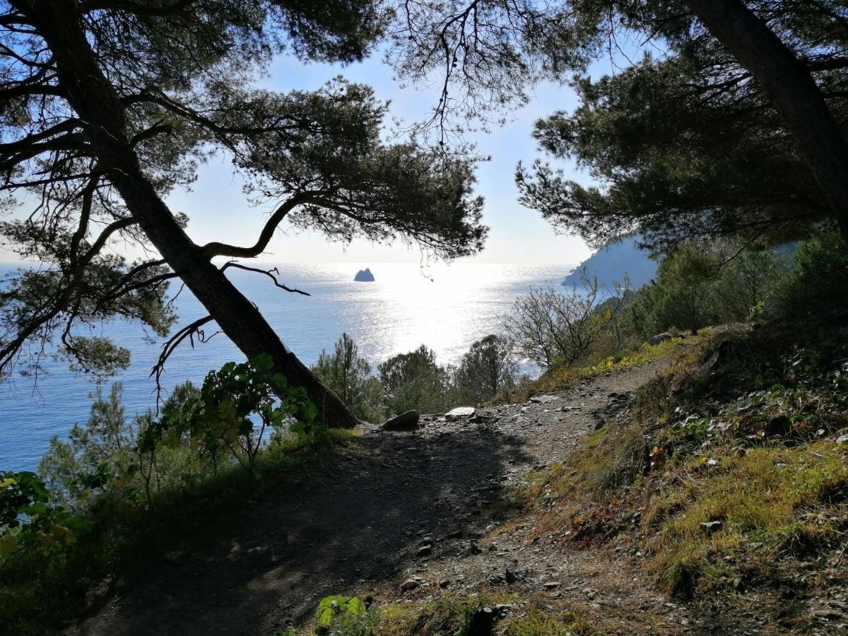 T2 36 M2, Rdc De Villa, Clim, Gd Jardin Clos, Animx Ok, Quartier Mt Faron Tres Calme, Wifi, Parking Toulon Exteriör bild