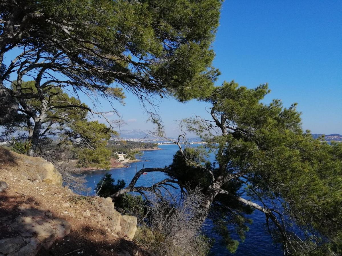 T2 36 M2, Rdc De Villa, Clim, Gd Jardin Clos, Animx Ok, Quartier Mt Faron Tres Calme, Wifi, Parking Toulon Exteriör bild